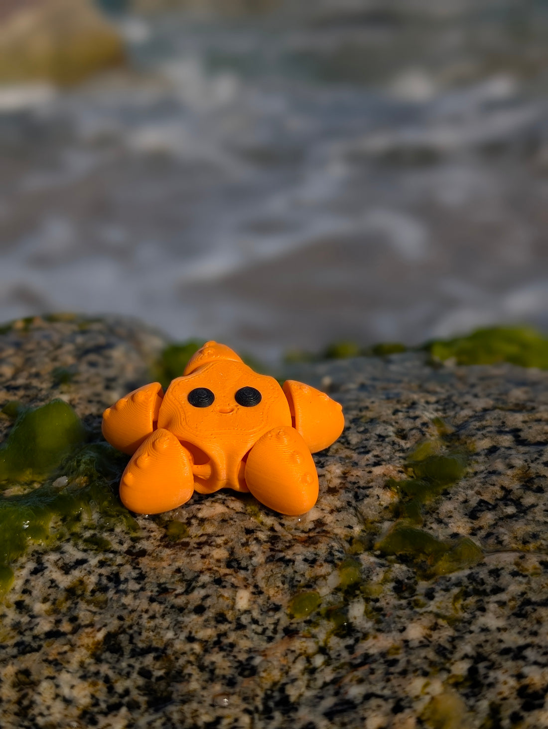 Mini Estrella de Mar articulada impresa en 3D | ZINKOO