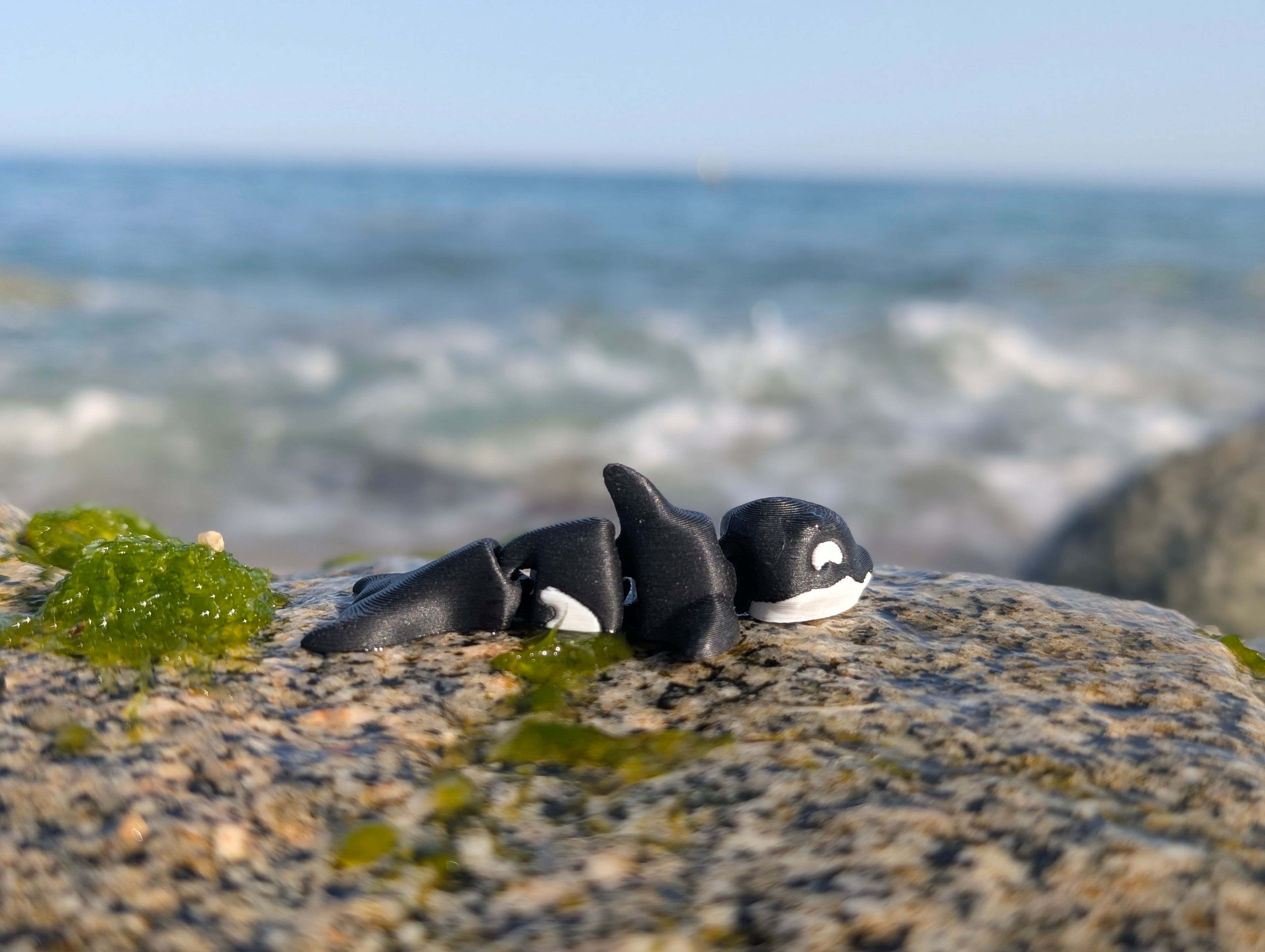 Mini Orca articulada impresa en 3D | ZINKOO