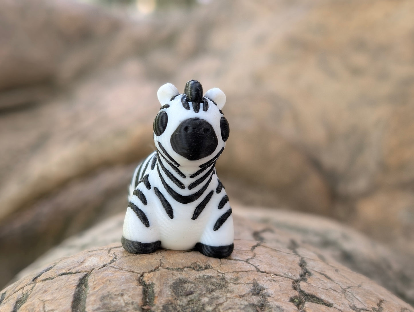 Mini Zebra articulada