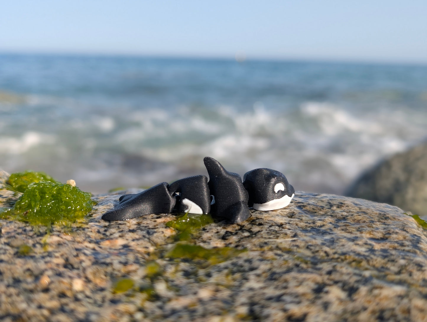 Mini Orca Articulada