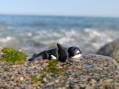 Mini Orca Articulada