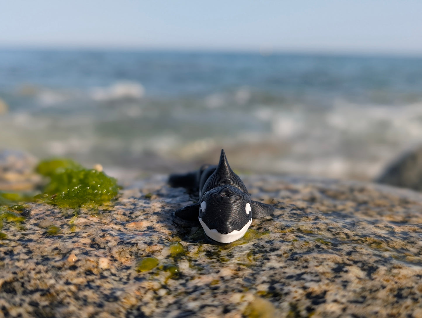 Mini Orca Articulada