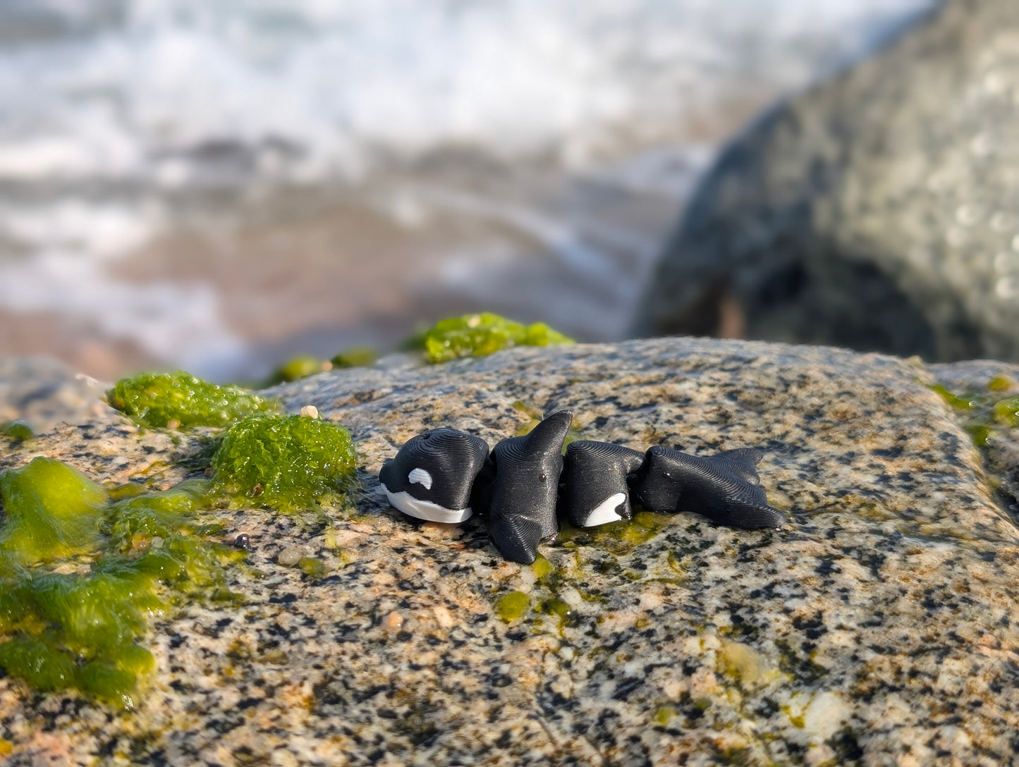 Mini Orca Articulada