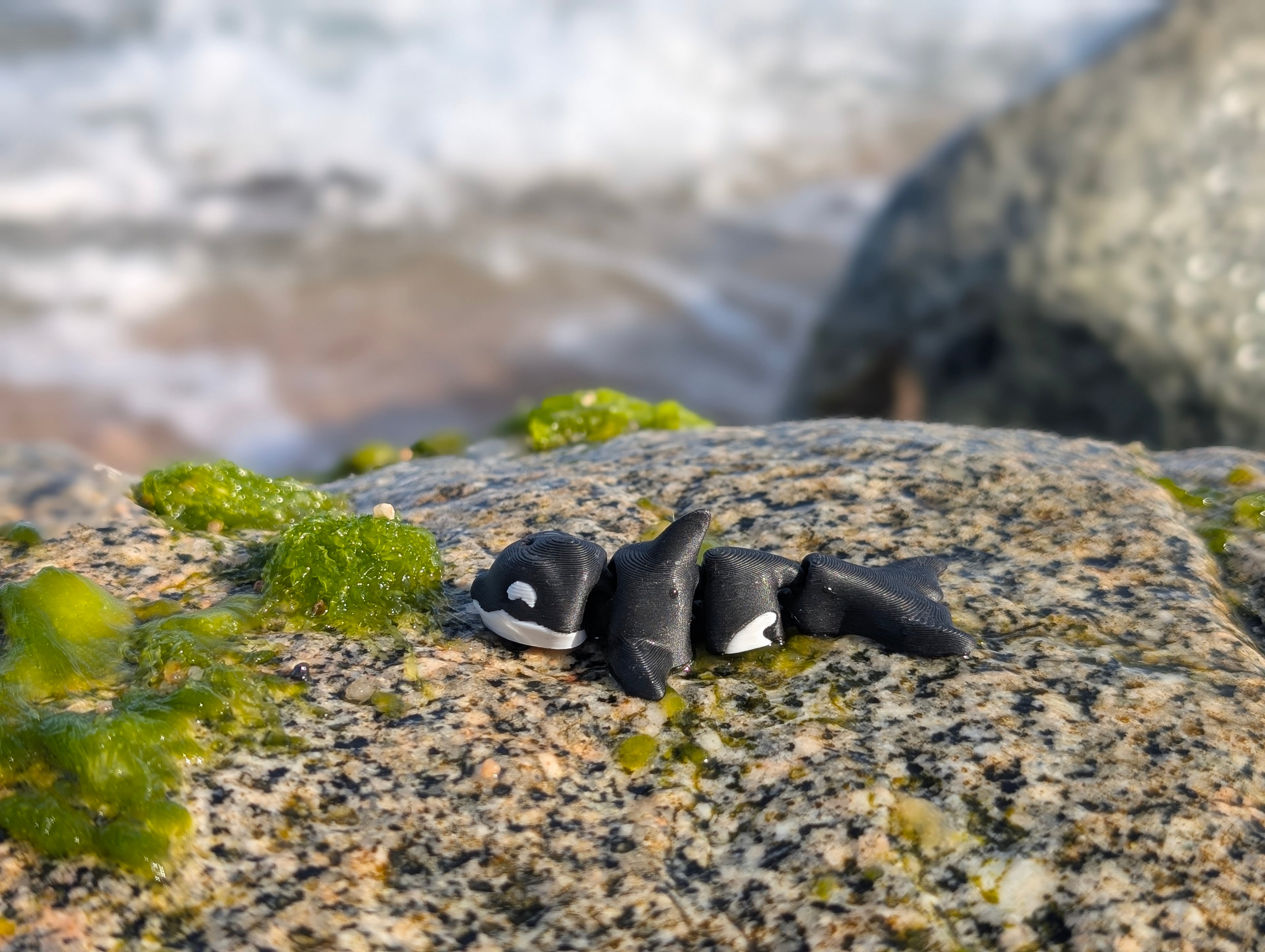 Mini Orca articulada impresa en 3D | ZINKOO