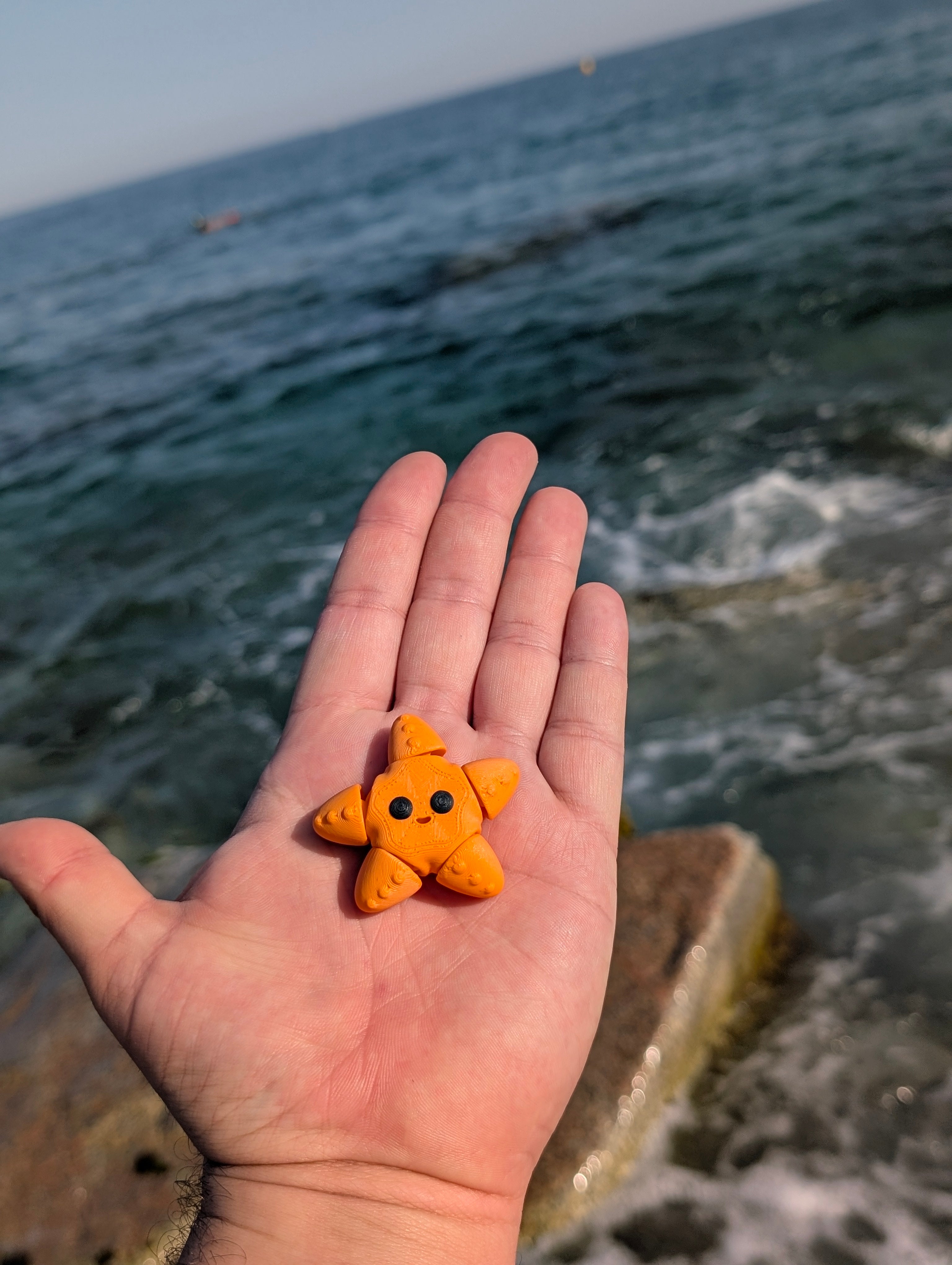 Mini Estrella de Mar articulada impresa en 3D | ZINKOO